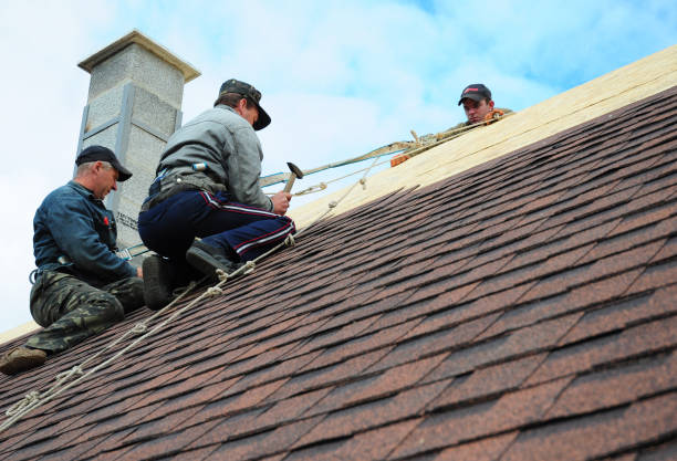 Gutter Installation and Roofing in Mobile, AL